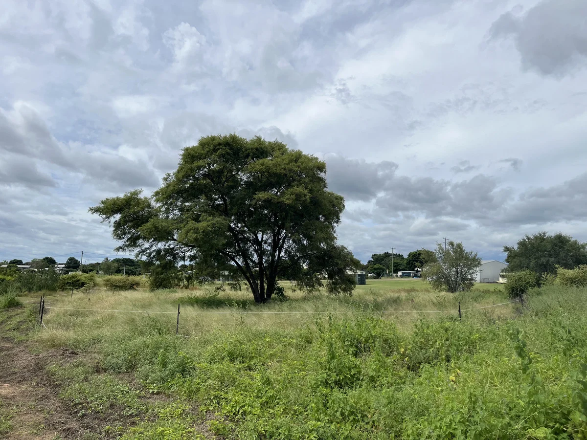 Additional image 2 of 6 Collins Street, Georgetown QLD 4871