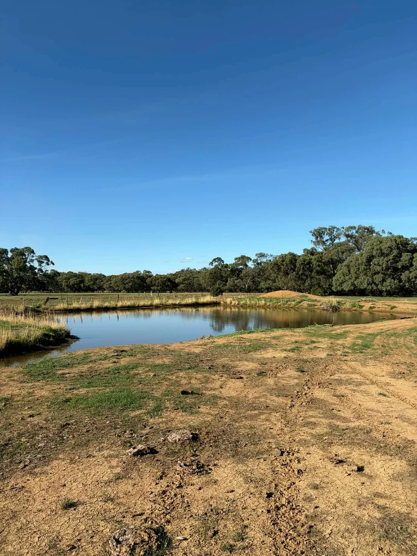 Additional image 12 of 78 Nicholson Lane, Kotta VIC 3565