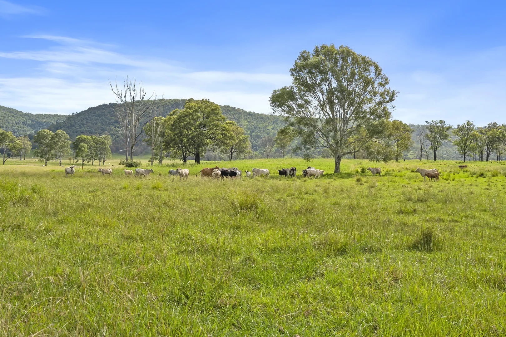 Additional image 21 of Lot 172 Gympie-Woolooga Road, Lower Wonga QLD 4570