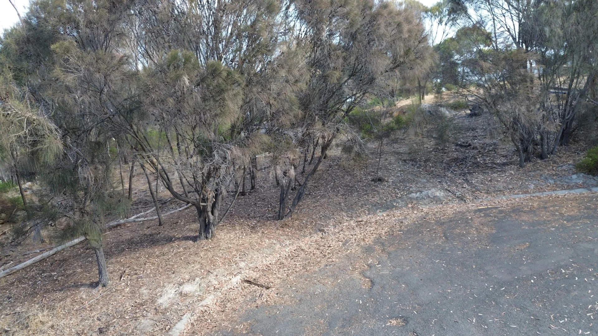 Additional image 5 of 8 Nelcebe Court, American River SA 5221