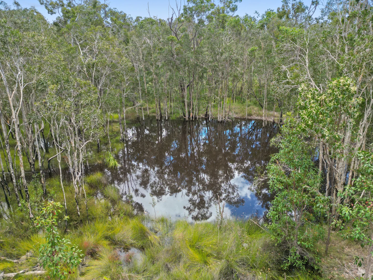 Additional image 6 of 545 Pacific Drive, Deepwater QLD 4674