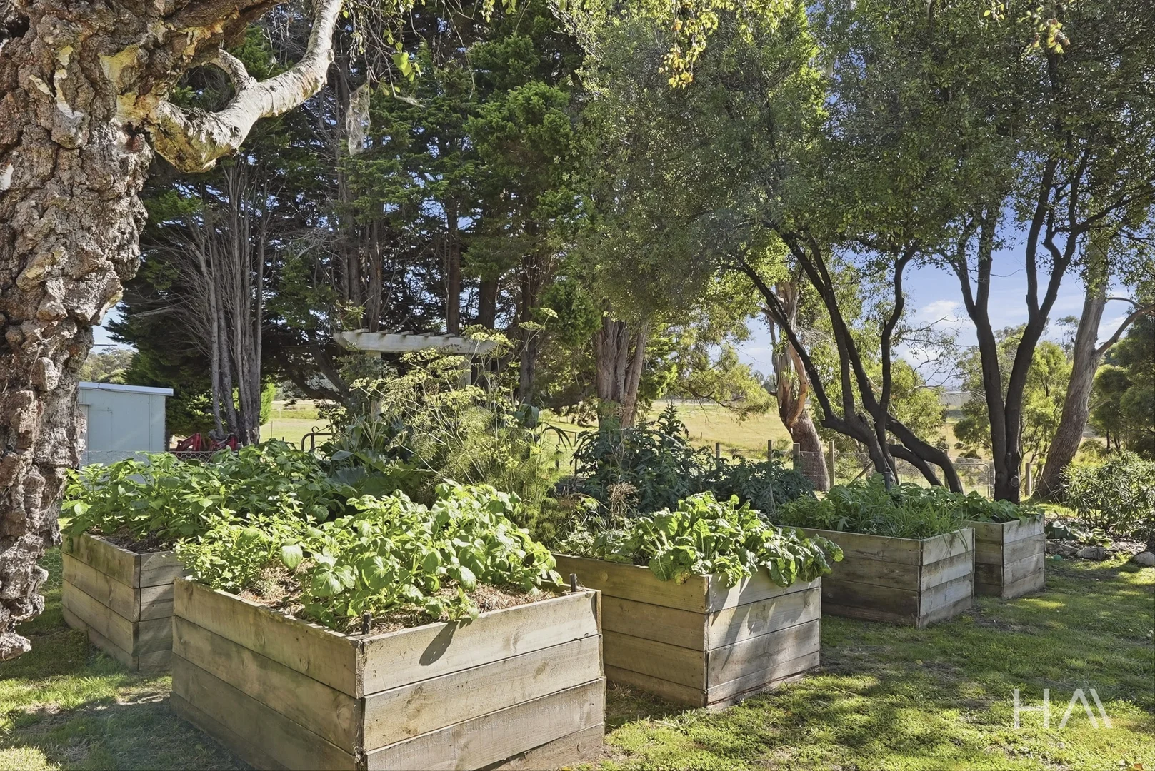 Additional image 12 of 513 Greens Beach Road, York Town TAS 7270