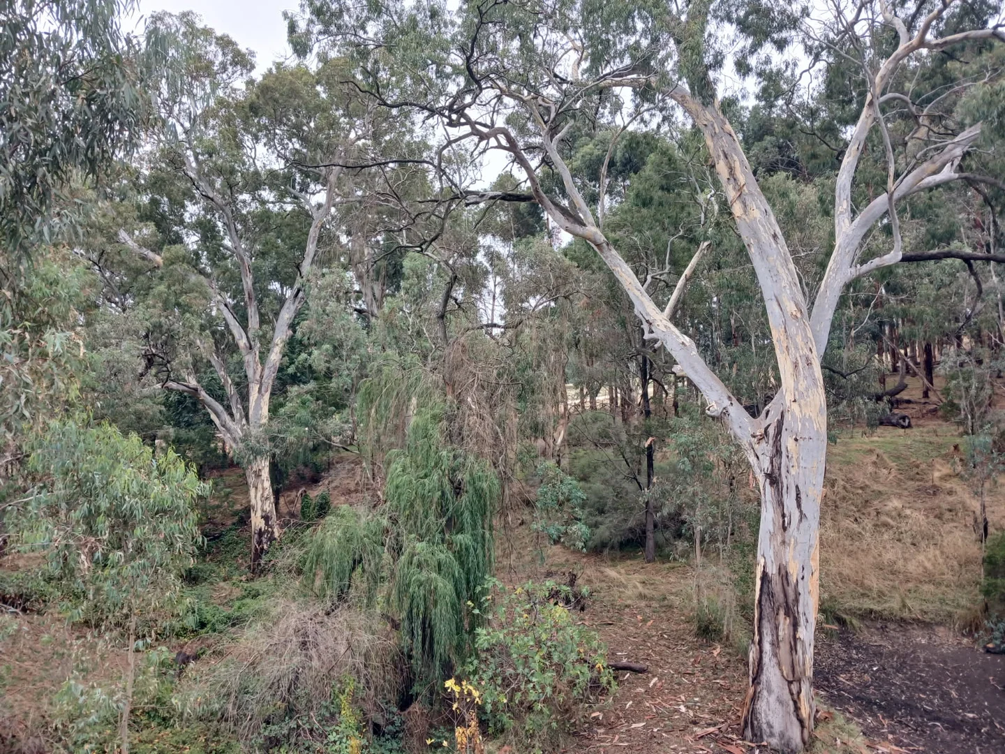 33 Cut Hill Road, Kangarilla SA 5157 photo 2