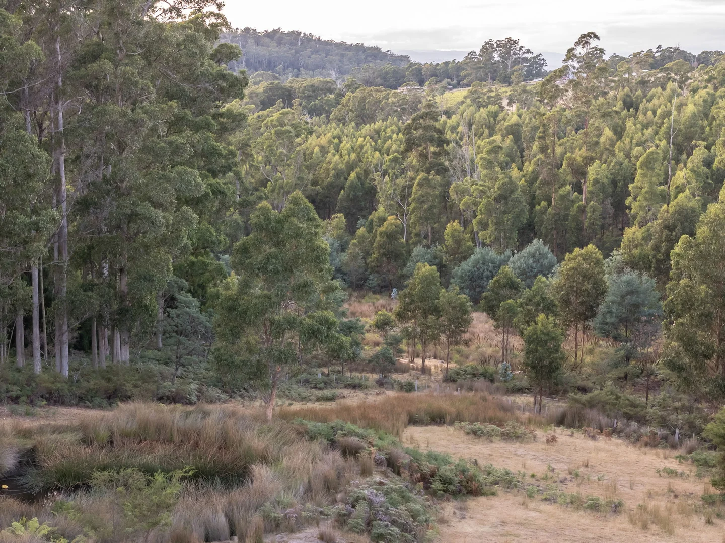 Additional image 15 of 1 Glendale Road, Sidmouth TAS 7270