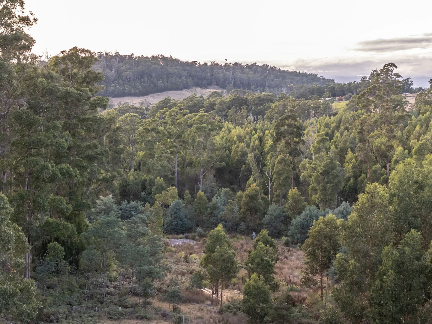 Additional image 16 of 1 Glendale Road, Sidmouth TAS 7270