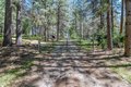 Additional image 80 of 2399 Campo Flores Ln, West Point, CA, 95255