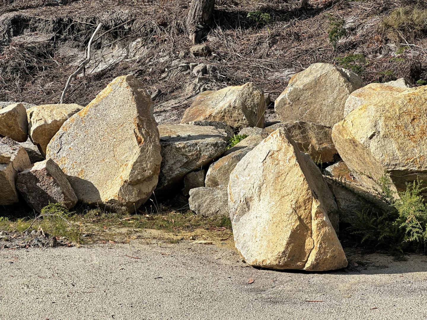 Additional image 3 of 25851 Tasman Highway, St Helens TAS 7216