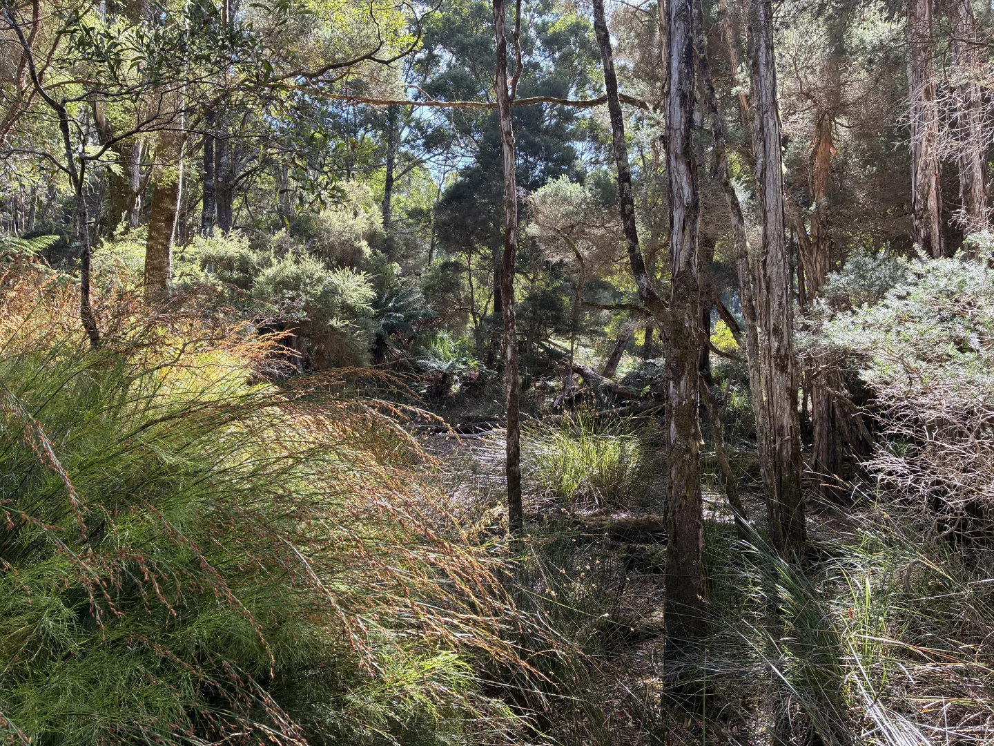 Additional image 9 of 306 Coopers Road, Rocky Cape TAS 7321