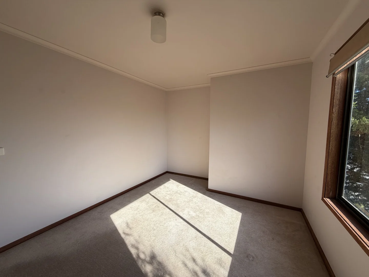 41 Anchor Parade, Cape Paterson VIC 3995 photo 5