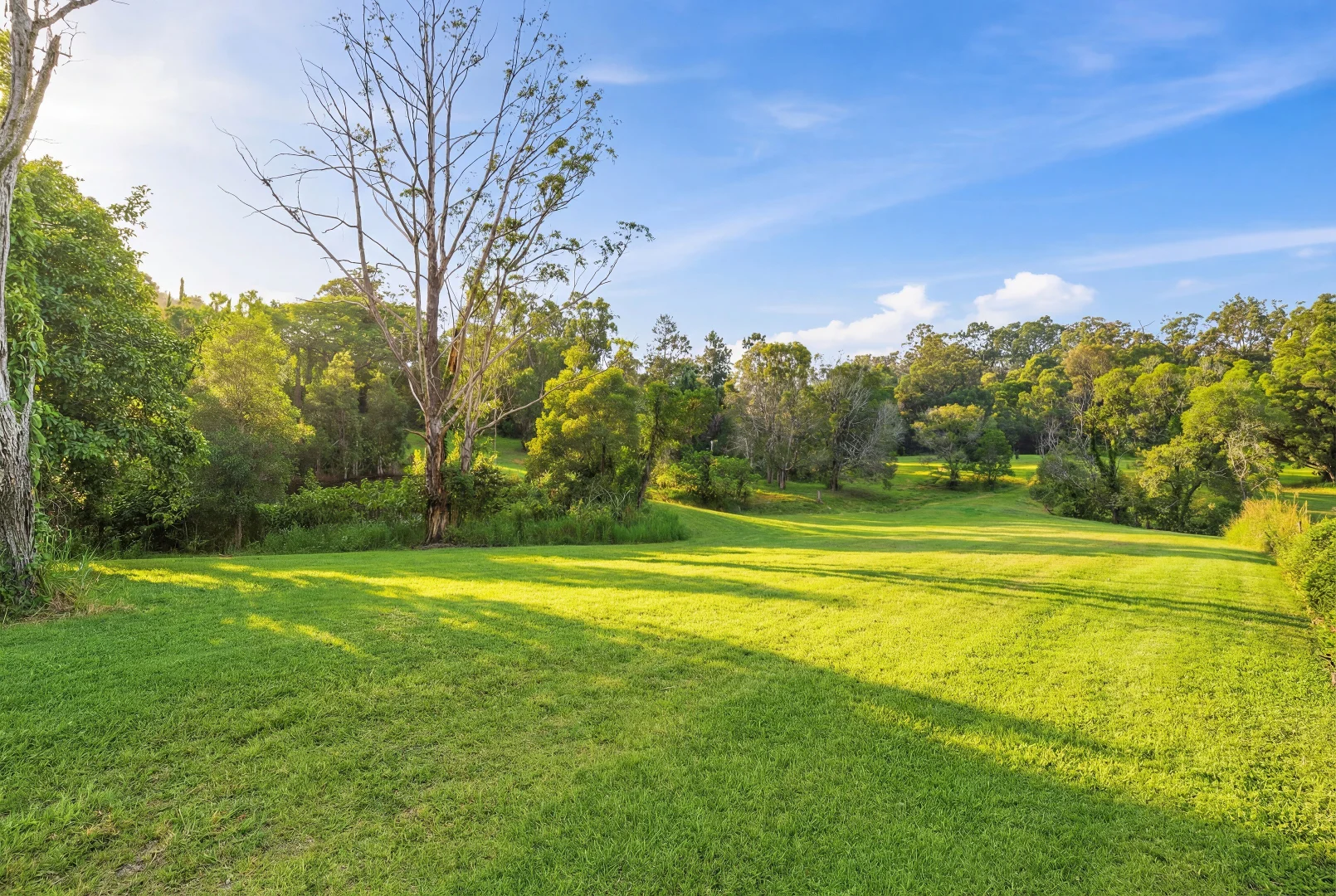 Additional image 6 of 20 Collaroy Road, Guanaba QLD 4210