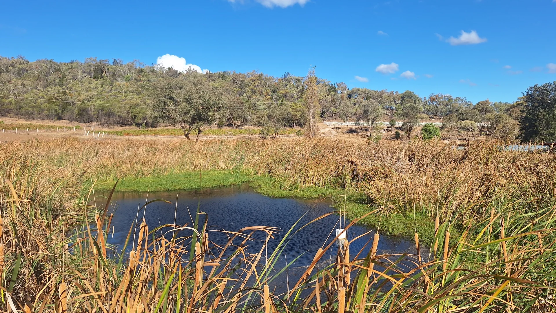 Additional image 19 of 60 Rees Road, Ballandean QLD 4382