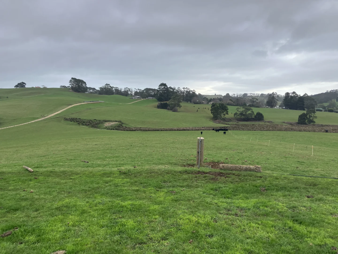 Additional image 4 of 16797 Bass Highway, Flowerdale TAS 7325