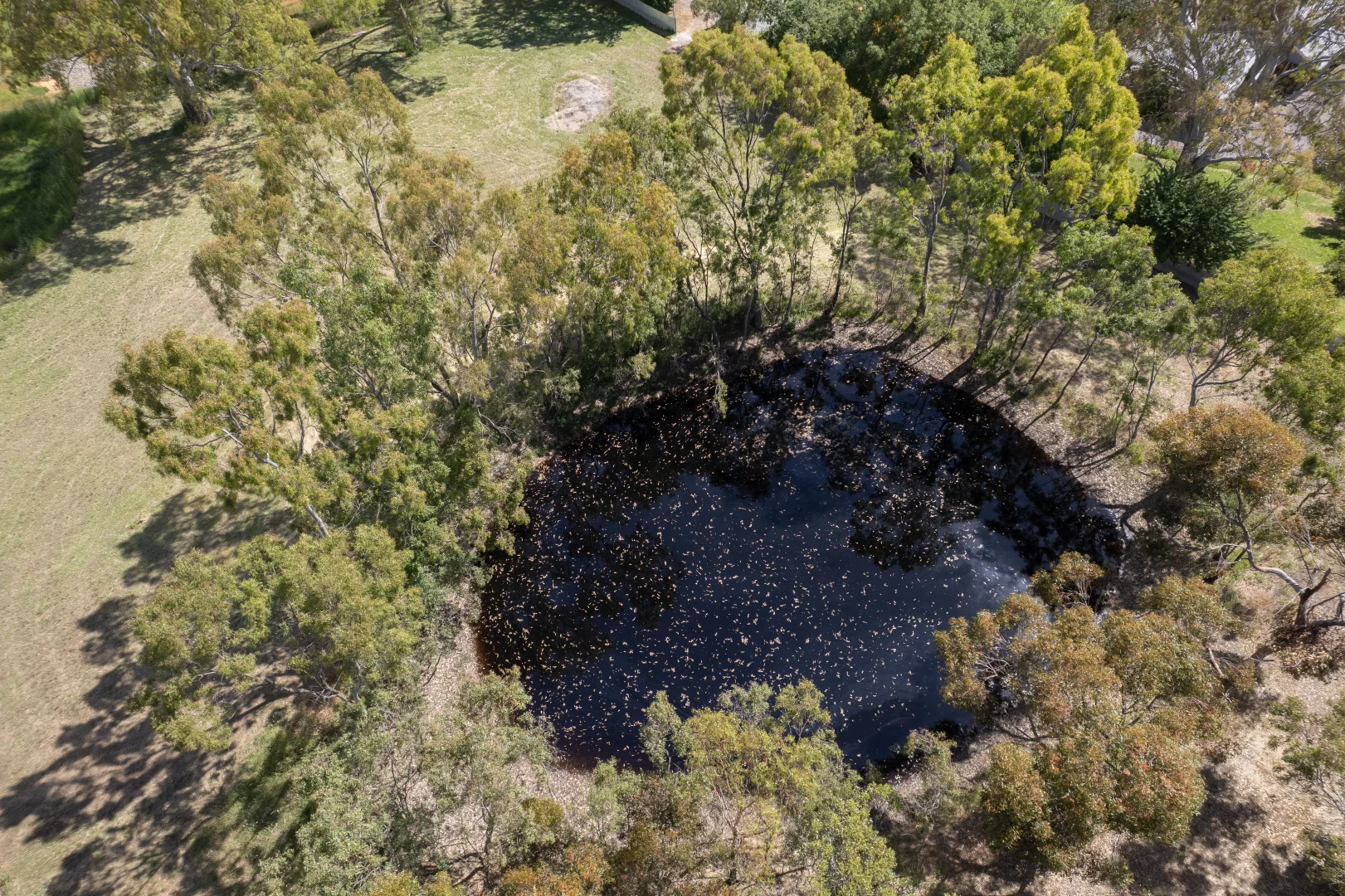 Additional image 32 of 124 Nitschke Road, Littlehampton SA 5250