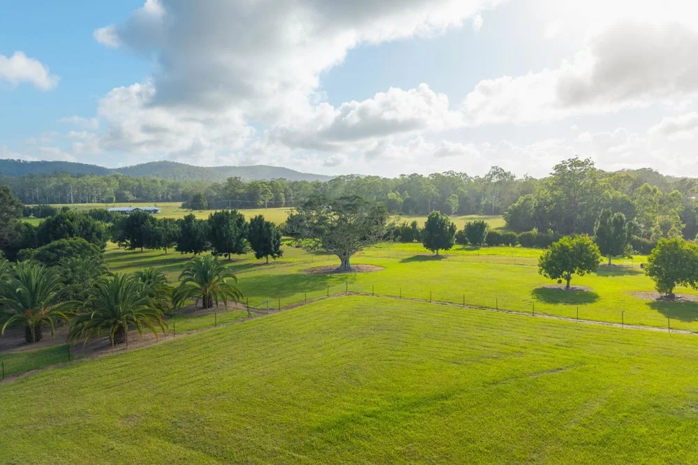 Additional image 7 of 458 Farrawells Road, Telegraph Point NSW 2441