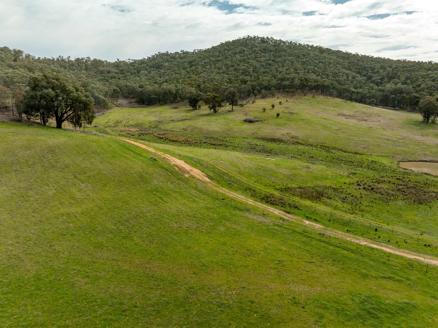 Additional image 35 of 2543 Westbrook Road, Oberne Creek NSW 2650