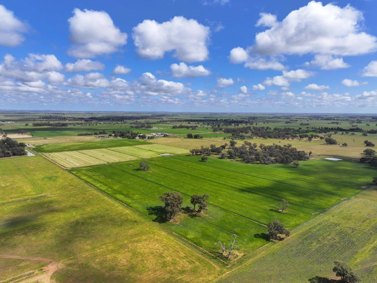 Additional image 34 of 78 Nicholson Lane, Kotta VIC 3565