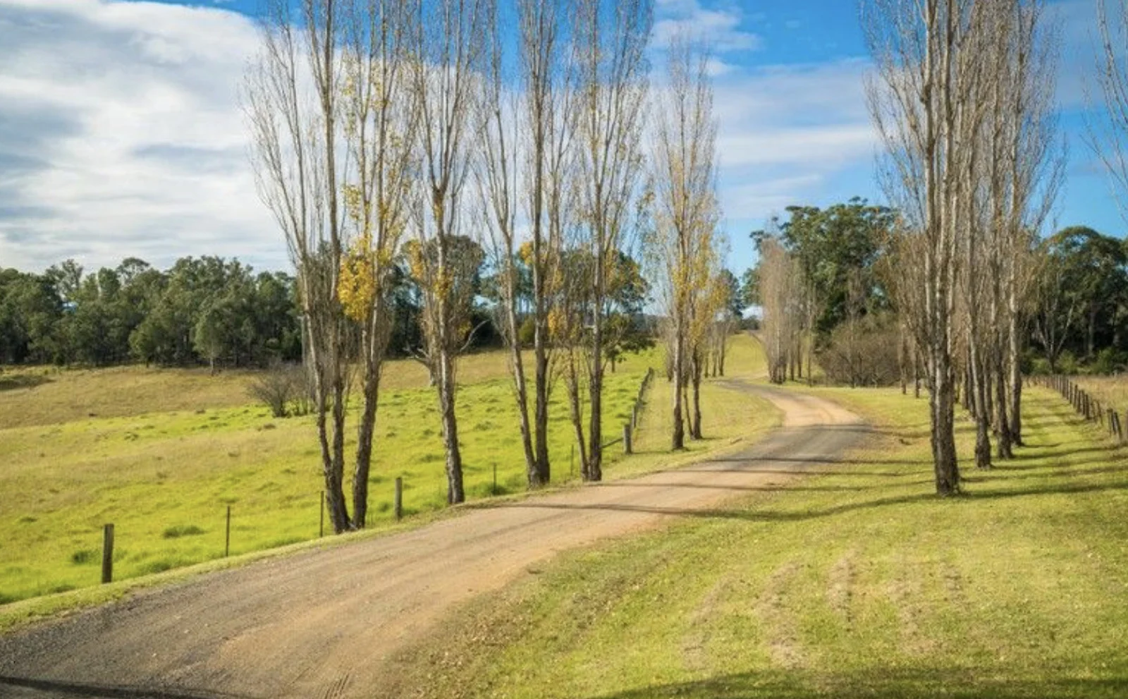 Additional image 41 of 874 Cobargo Bermagui Road, Coolagolite NSW 2550