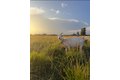 Additional image 41 of 4239 Seven Hills Rd, Odin, IL, 62870