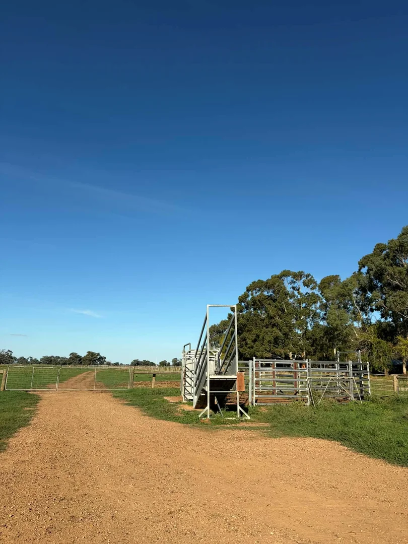 Additional image 7 of 78 Nicholson Lane, Kotta VIC 3565