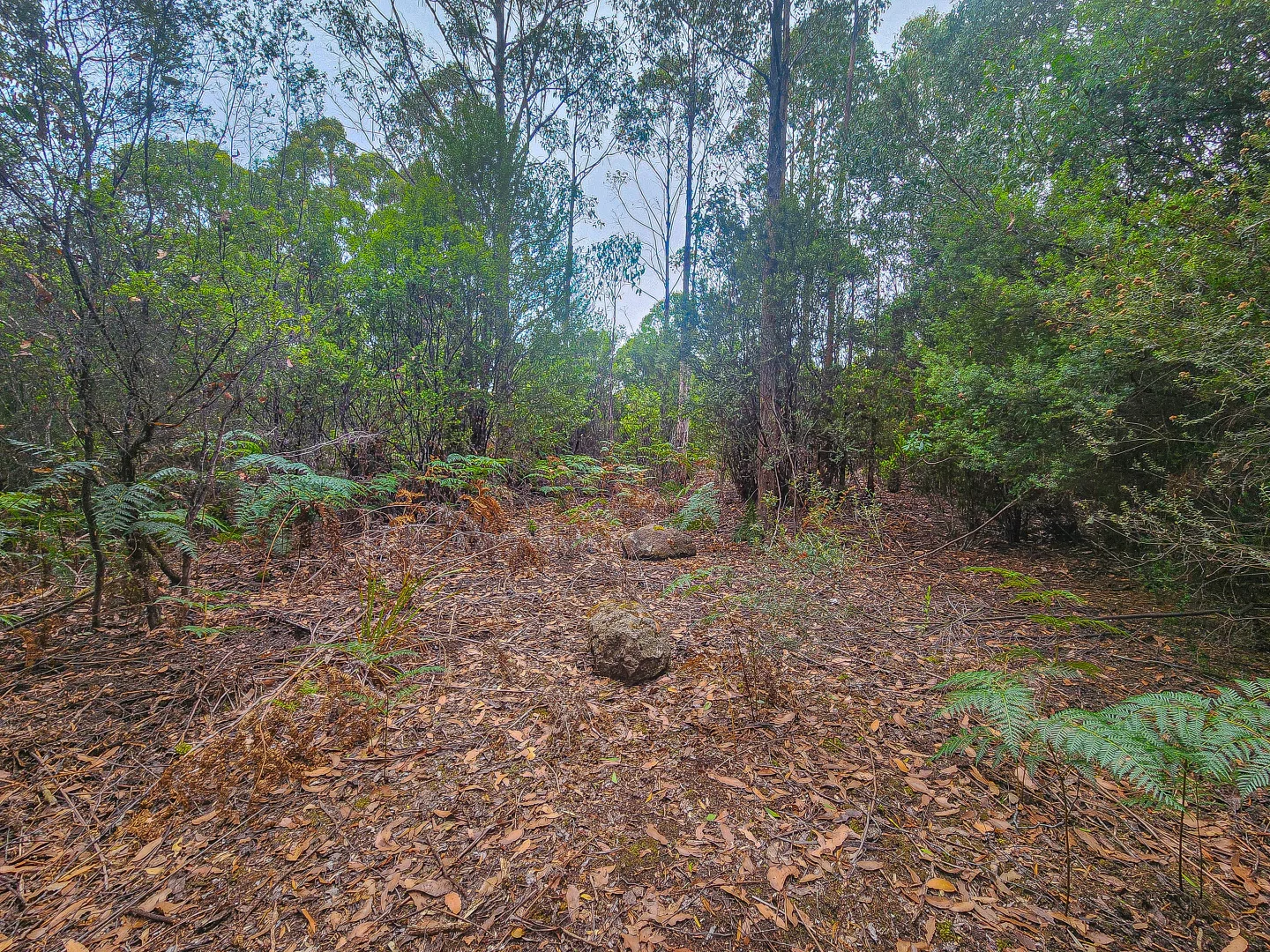 Additional image 17 of 1 Link Road, Lonnavale TAS 7109