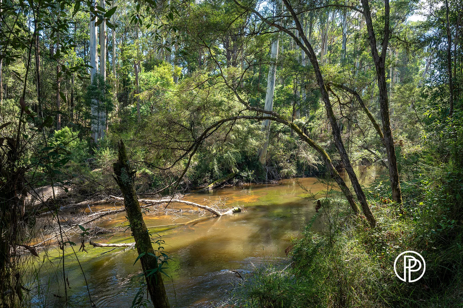 Additional image 12 of 15 Armitage Avenue, East Warburton VIC 3799