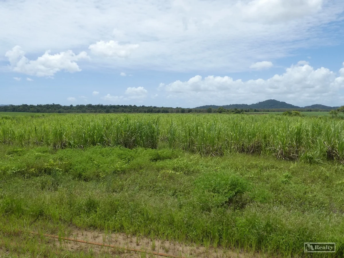 41 Bramston Beach Road, Eubenangee QLD 4860 photo 2