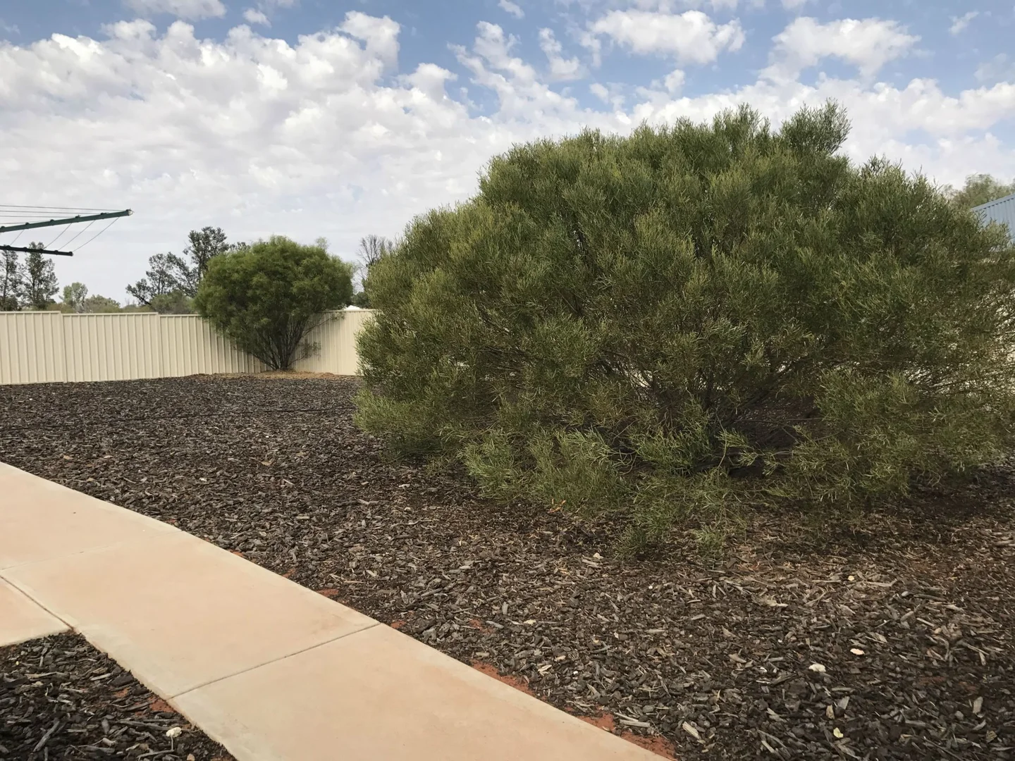 Additional image 3 of 10 Bolami Street, Roxby Downs SA 5725