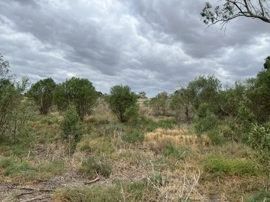 Additional image 15 of 220-226 Fox Street, Walgett NSW 2832