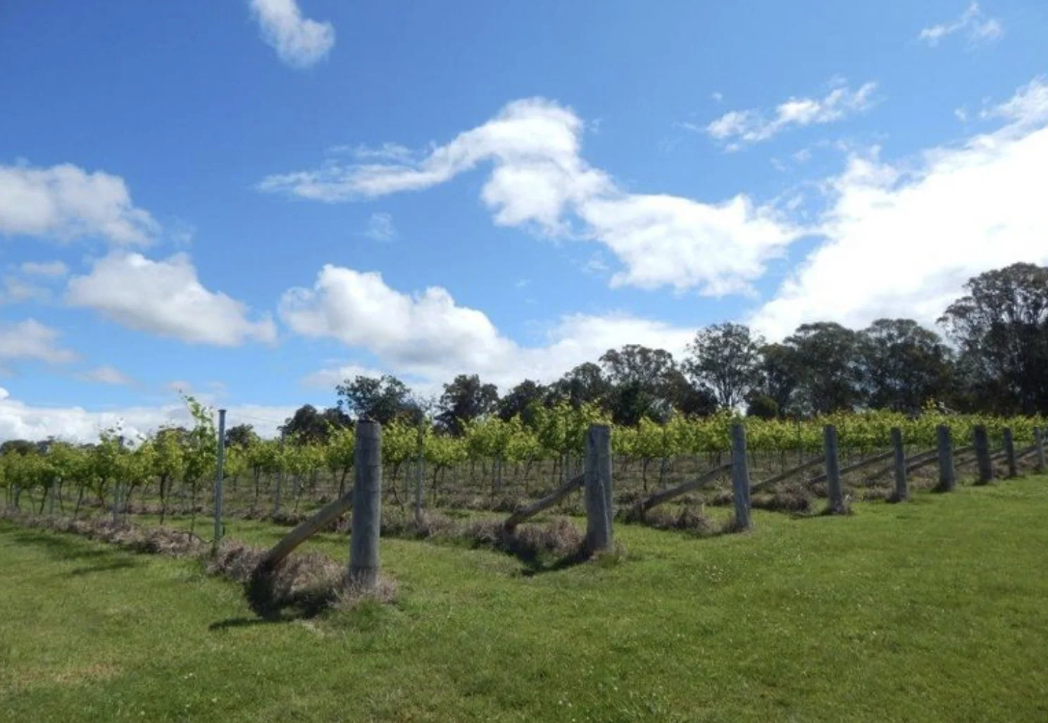 Additional image 18 of 874 Cobargo Bermagui Road, Coolagolite NSW 2550