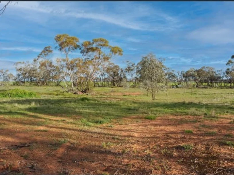 Nyah West VIC 3595 photo 3