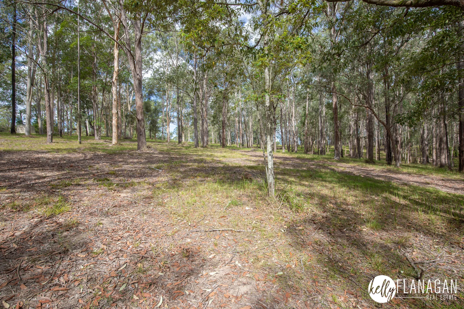 Additional image 26 of 1420 Collombatti Road, Collombatti NSW 2440