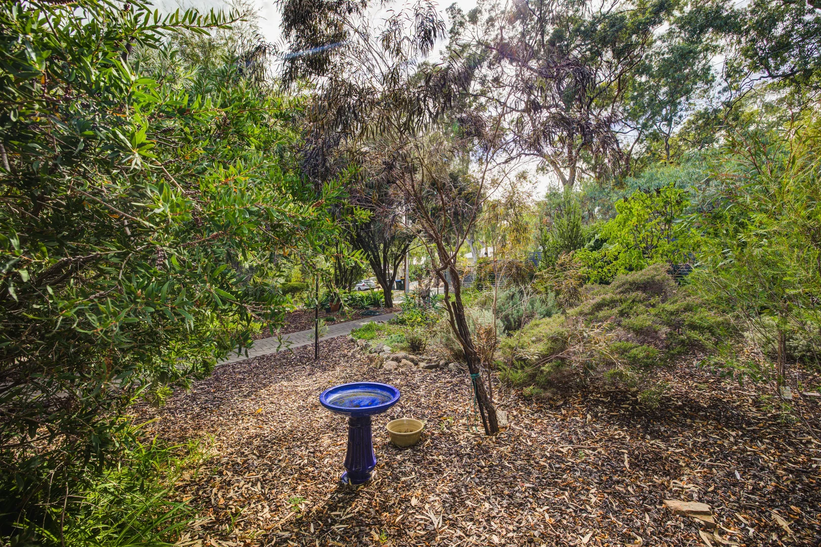 Additional image 5 of 36 Myrtle Road, Hawthorndene SA 5051