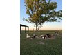 Additional image 48 of 4239 Seven Hills Rd, Odin, IL, 62870
