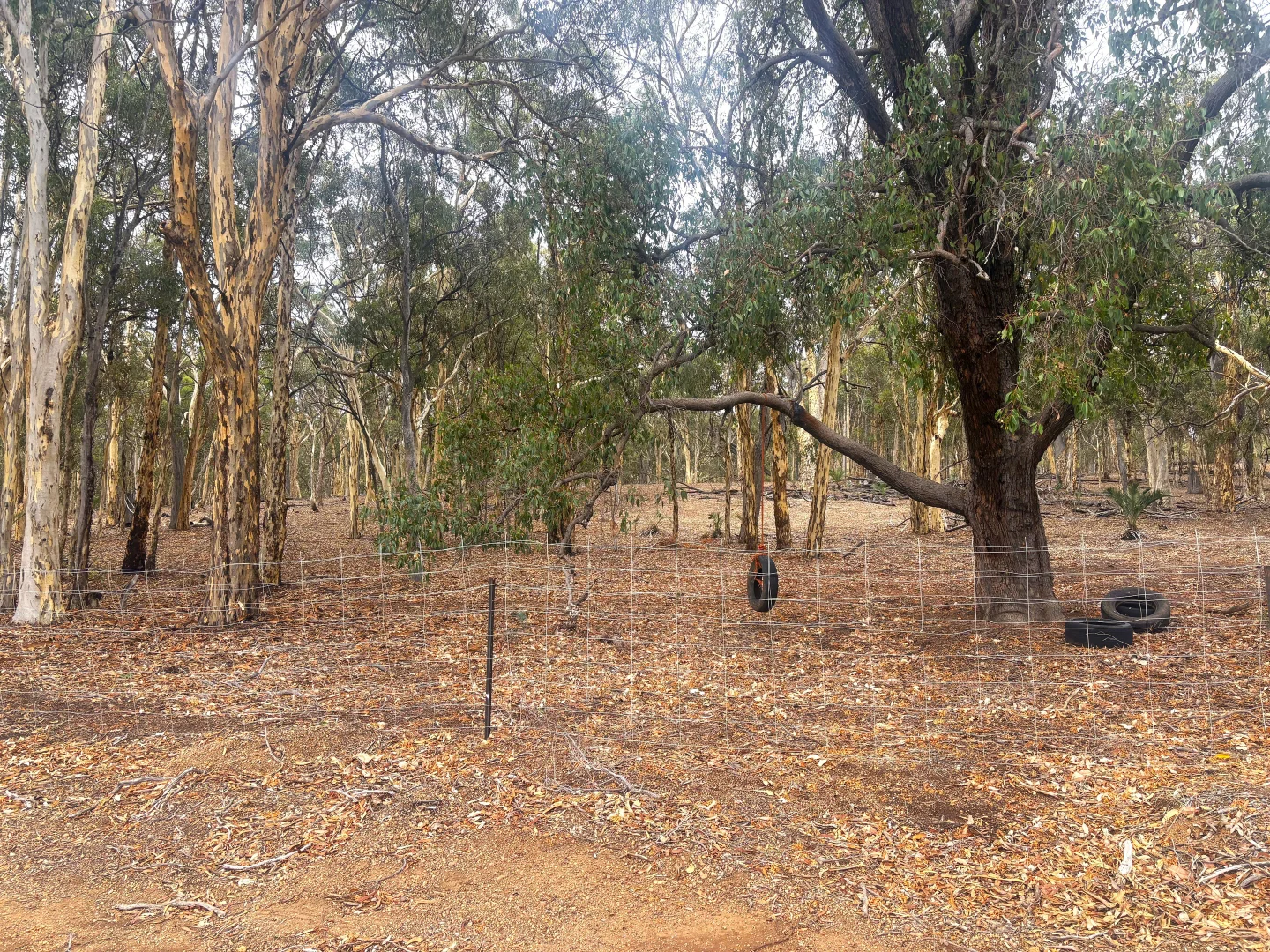 Additional image 7 of 165 Caladenia Drive, Coondle WA 6566