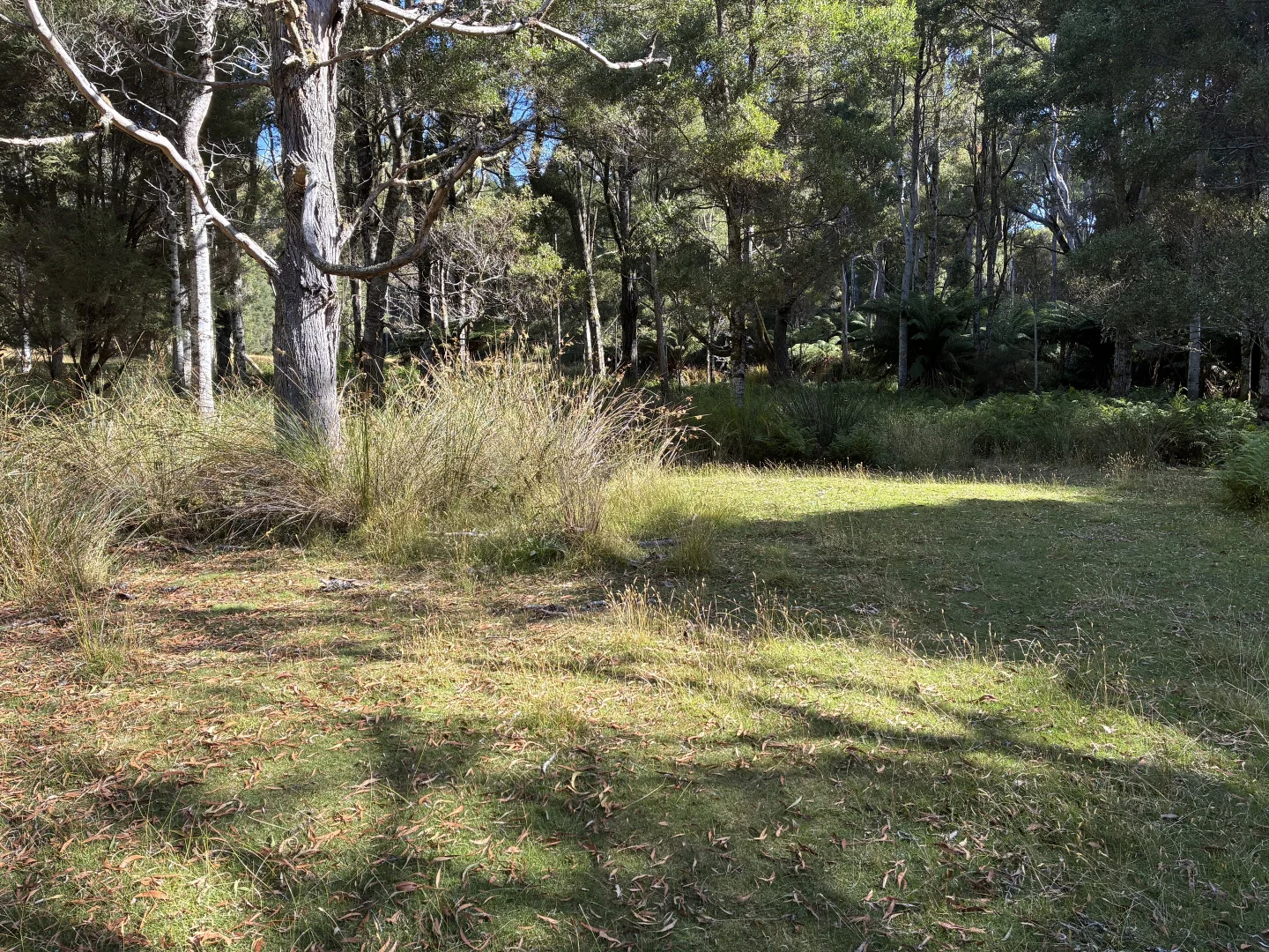 Additional image 15 of 306 Coopers Road, Rocky Cape TAS 7321