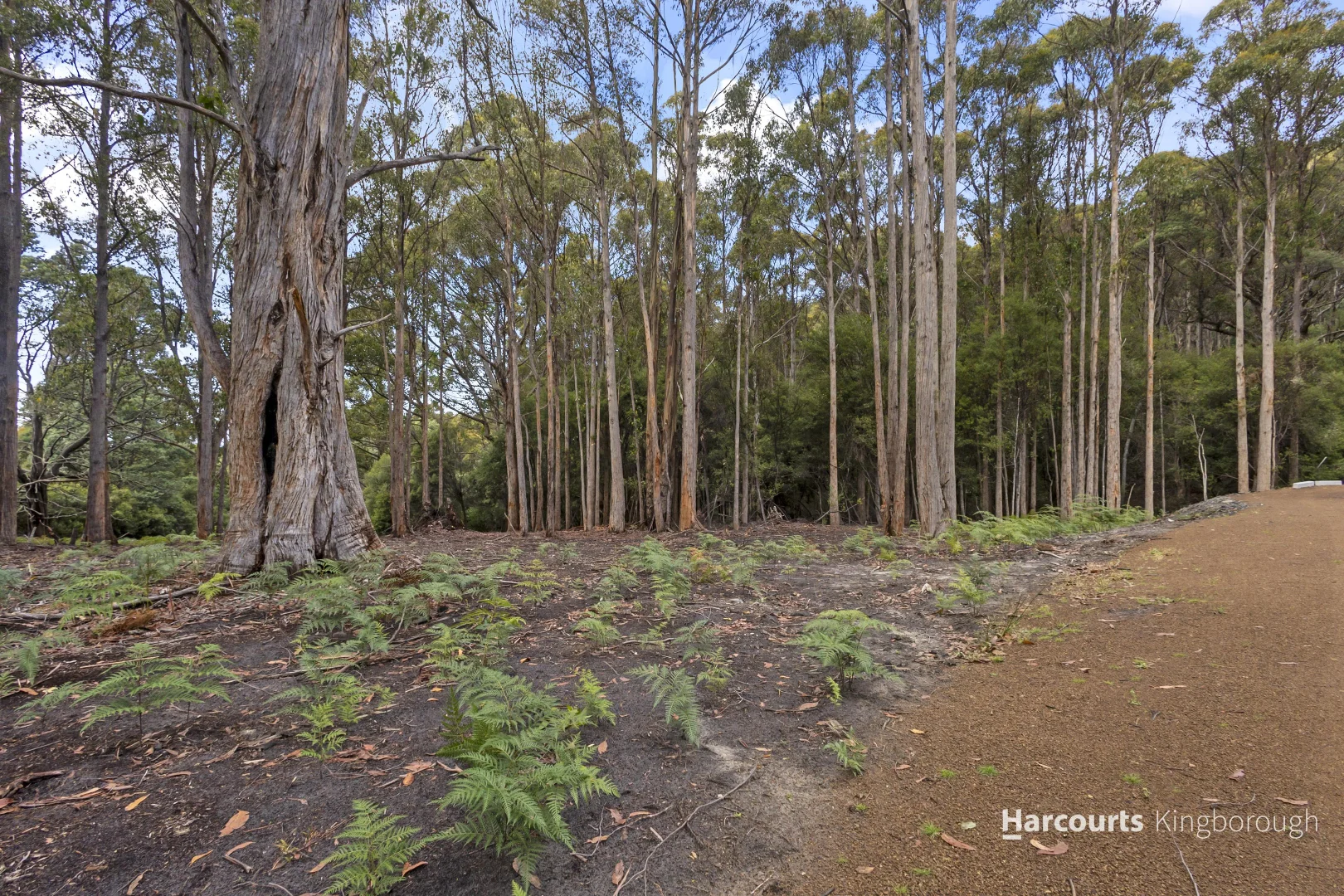 Additional image 18 of 61 Rose Lane, Flowerpot TAS 7163