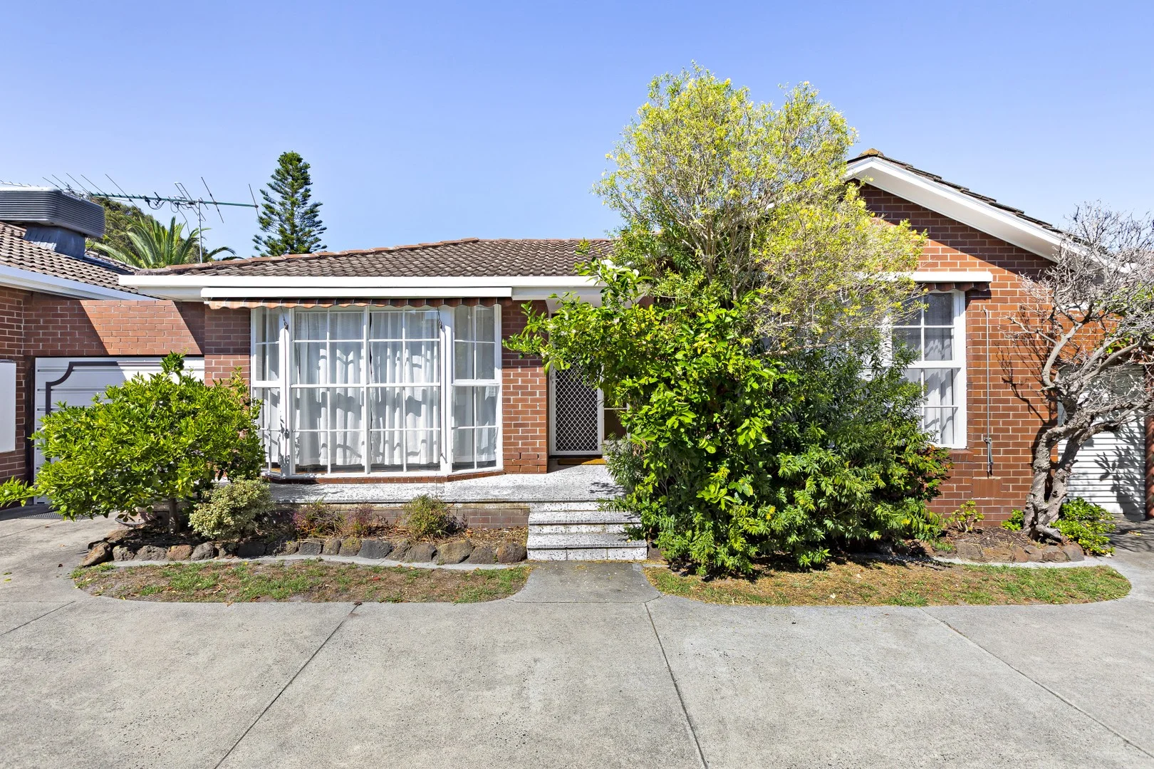 3/17 Oswald Street, Elsternwick VIC 3185