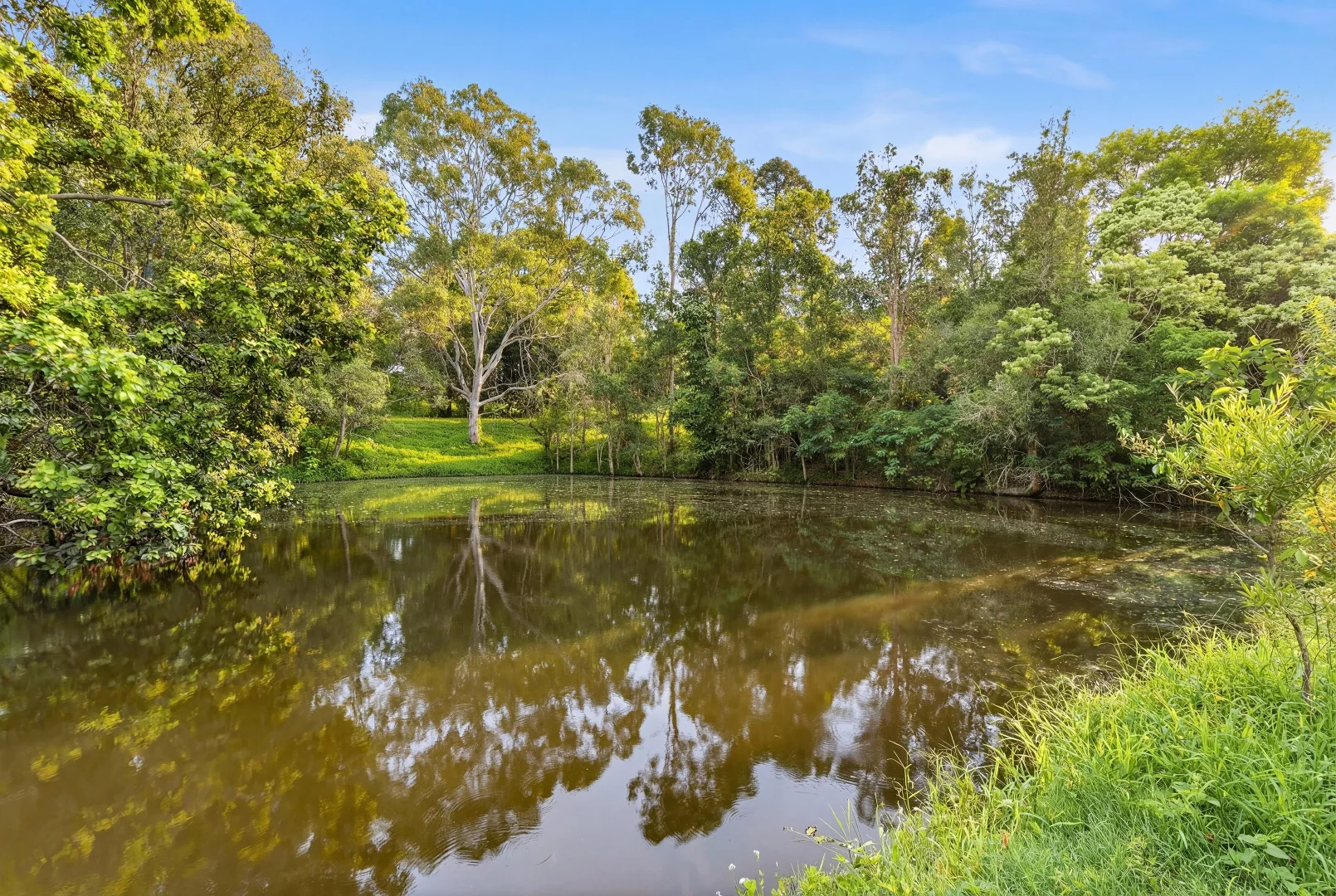 Additional image 7 of 20 Collaroy Road, Guanaba QLD 4210