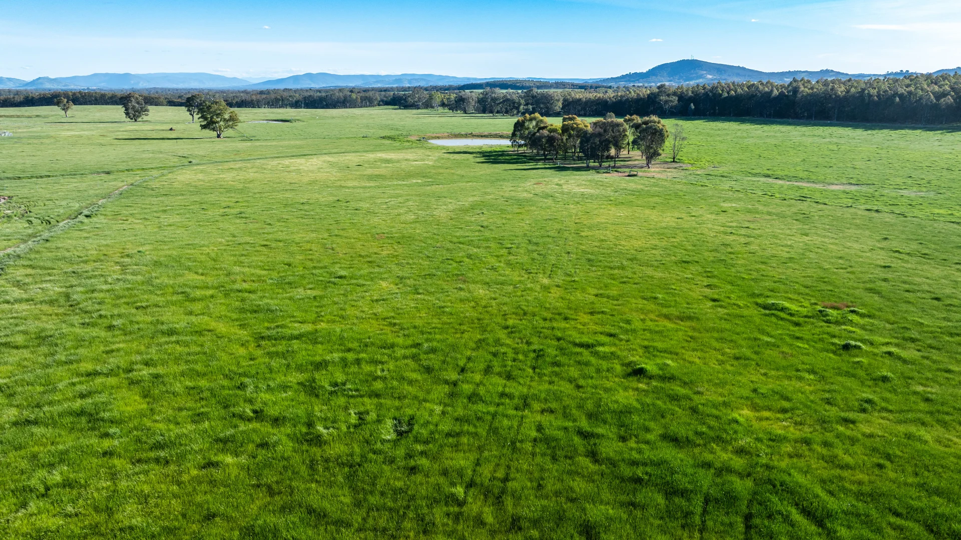 Additional image 2 of 9 Eagle Rise Road, Table Top NSW 2640