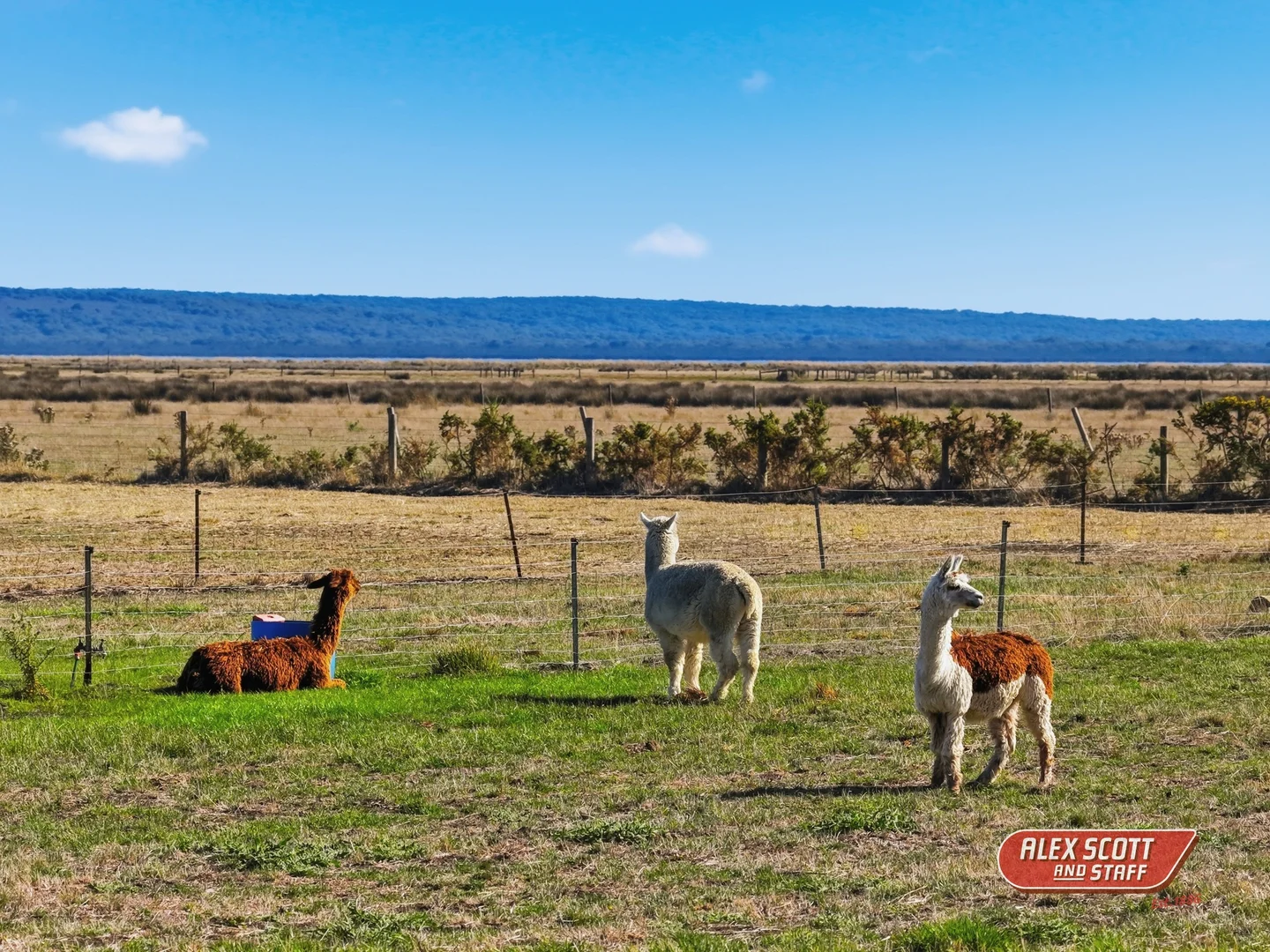 Additional image 25 of 360 Stanlake Road, Lang Lang VIC 3984