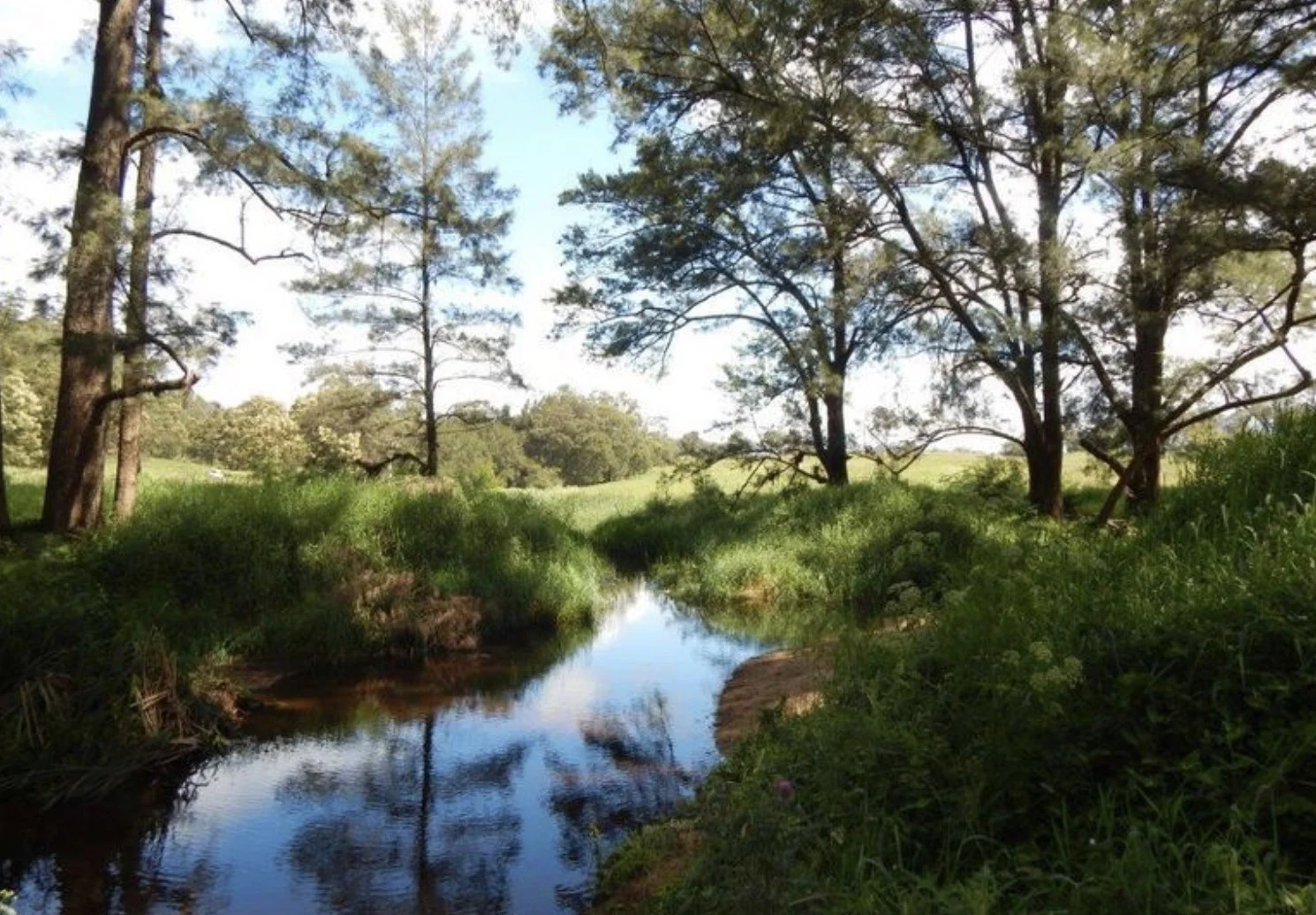 Additional image 14 of 874 Cobargo Bermagui Road, Coolagolite NSW 2550