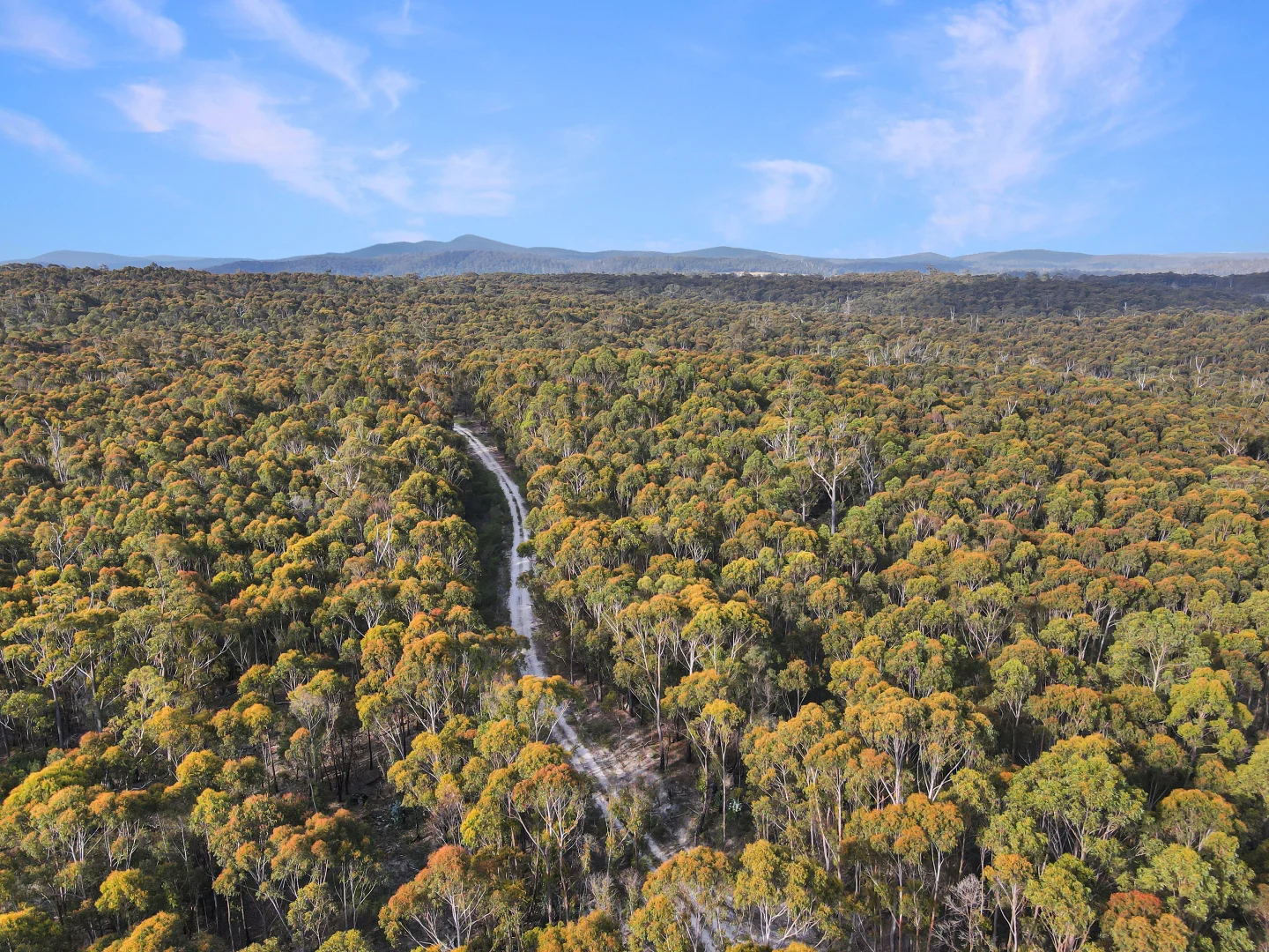 Additional image 2 of 25851 Tasman Highway, St Helens TAS 7216