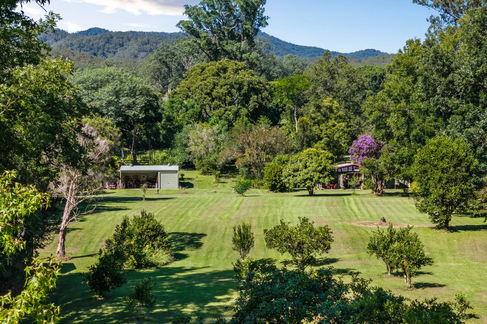 Additional image 6 of 1476 Darkwood Road, Bellingen NSW 2454