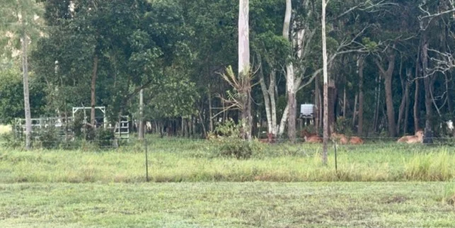 Additional image 13 of 24 Perry Road, Alligator Creek QLD 4740