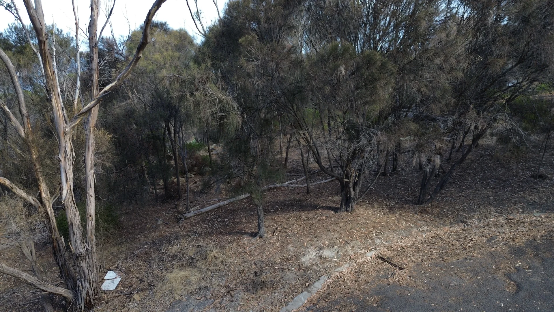 Additional image 4 of 8 Nelcebe Court, American River SA 5221