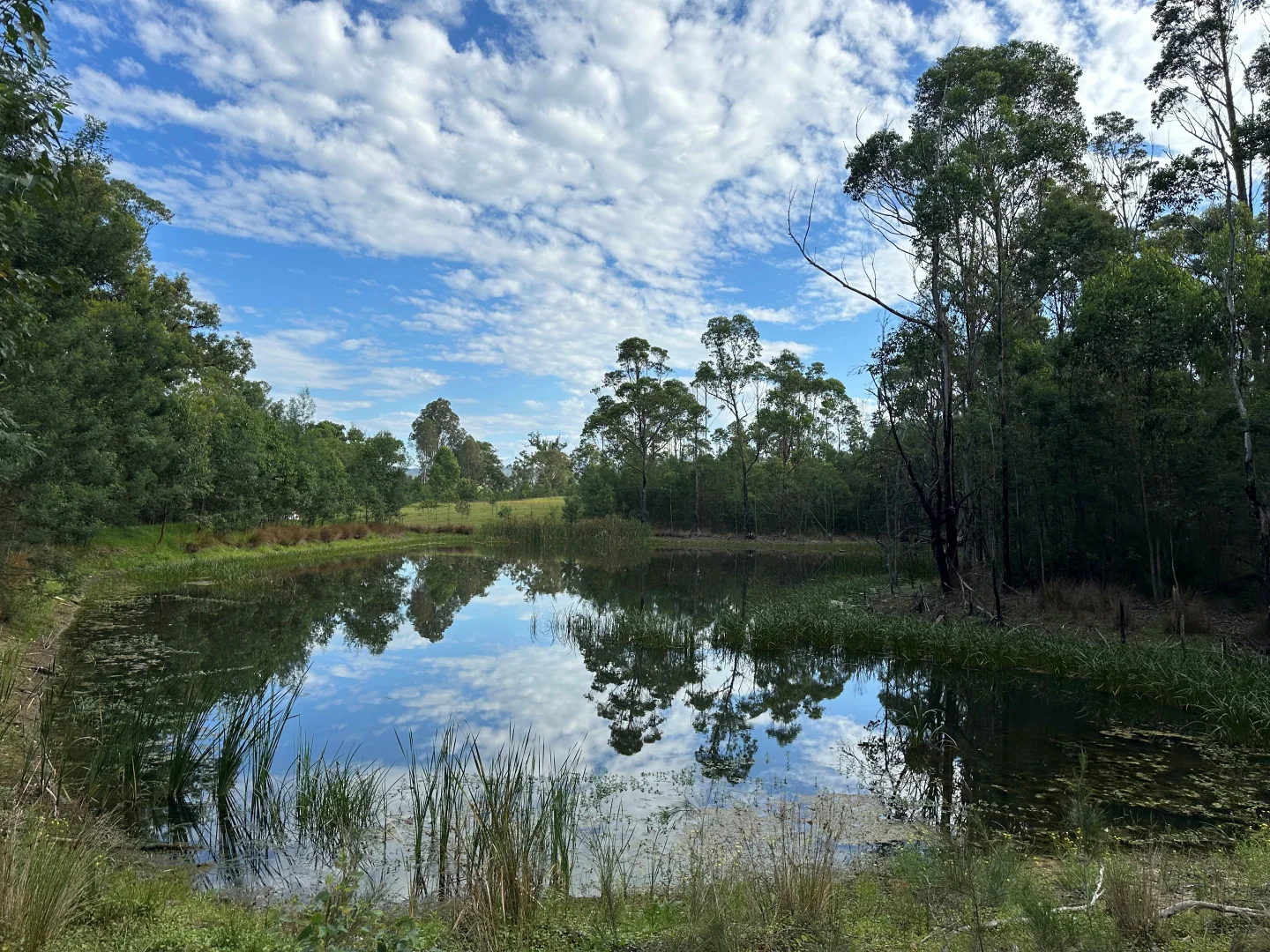 Additional image 19 of 10419 Princes Highway, Cobargo NSW 2550