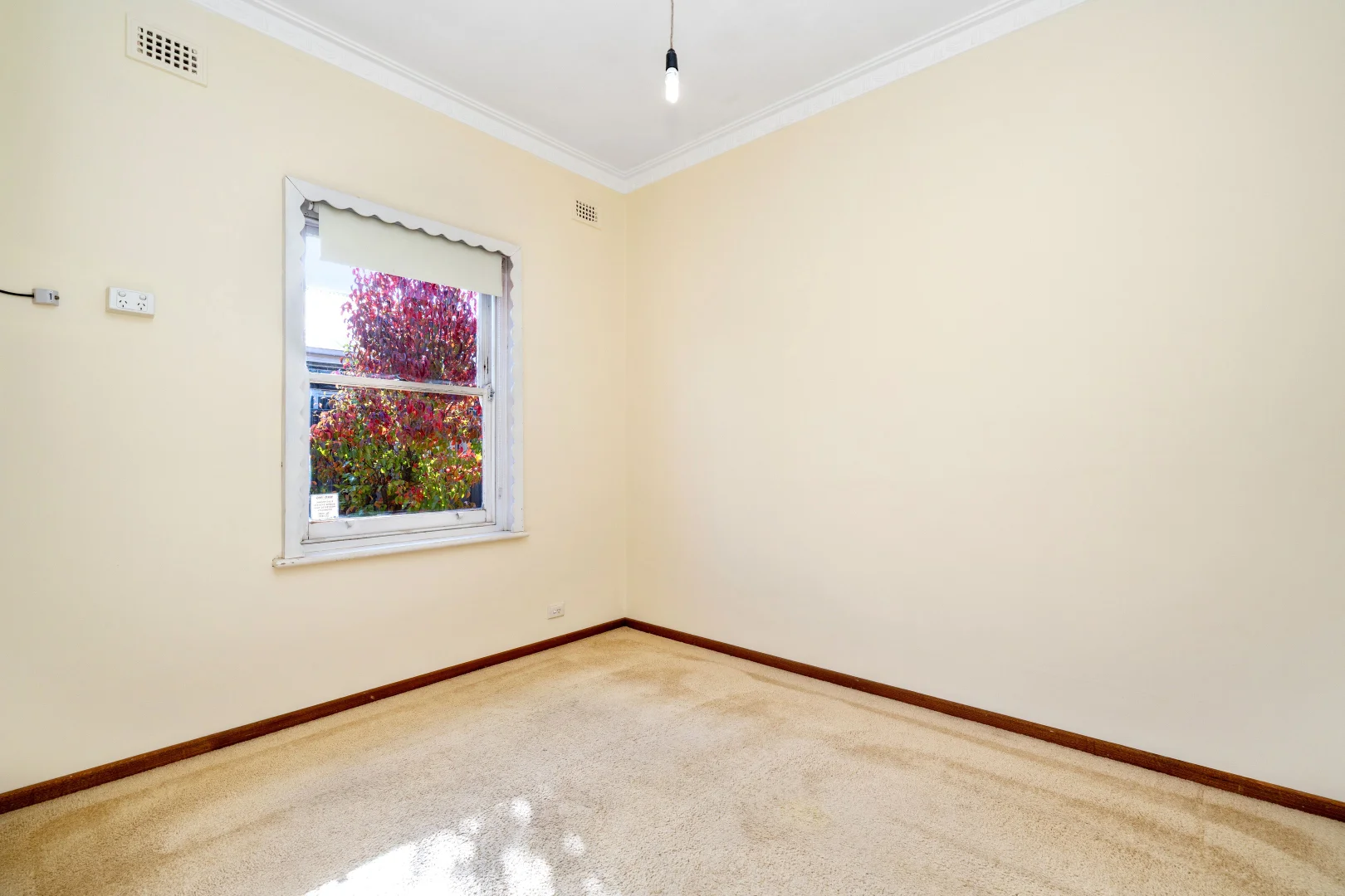 Additional image 11 of 20 Buckingham Avenue, Warradale SA 5046