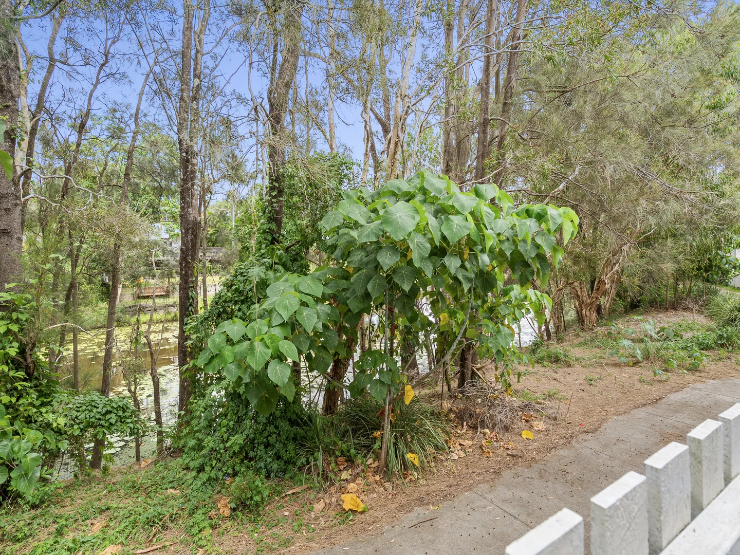 Additional image 7 of 94 Florabella Drive, Robina QLD 4226