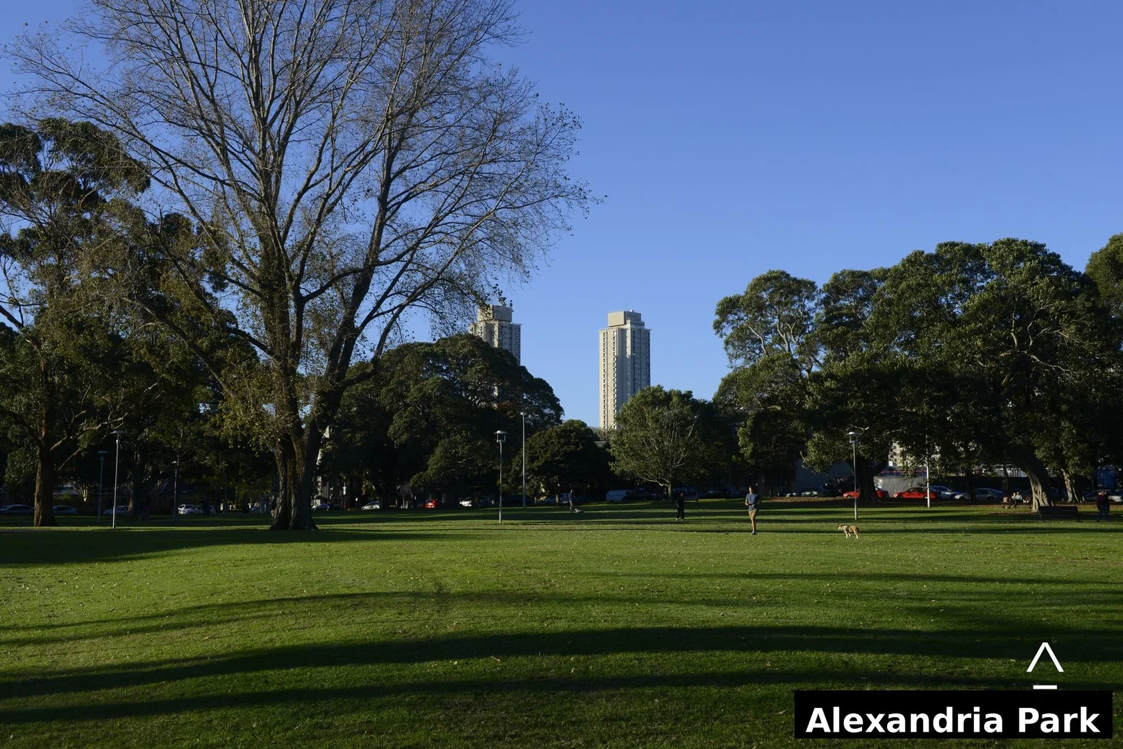 Additional image 8 of 23 Mitchell Road, Alexandria NSW 2015