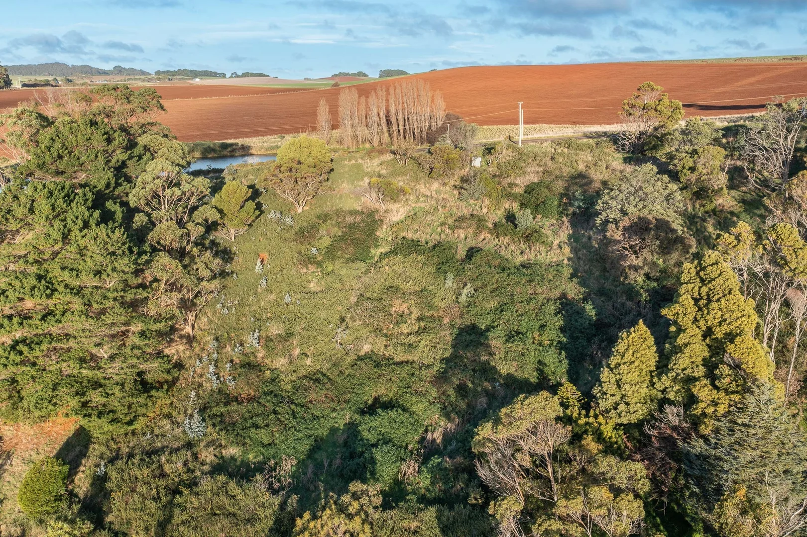 Additional image 20 of 472 Tollymore Road, Table Cape TAS 7325